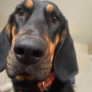 Meet your Posher, Matt